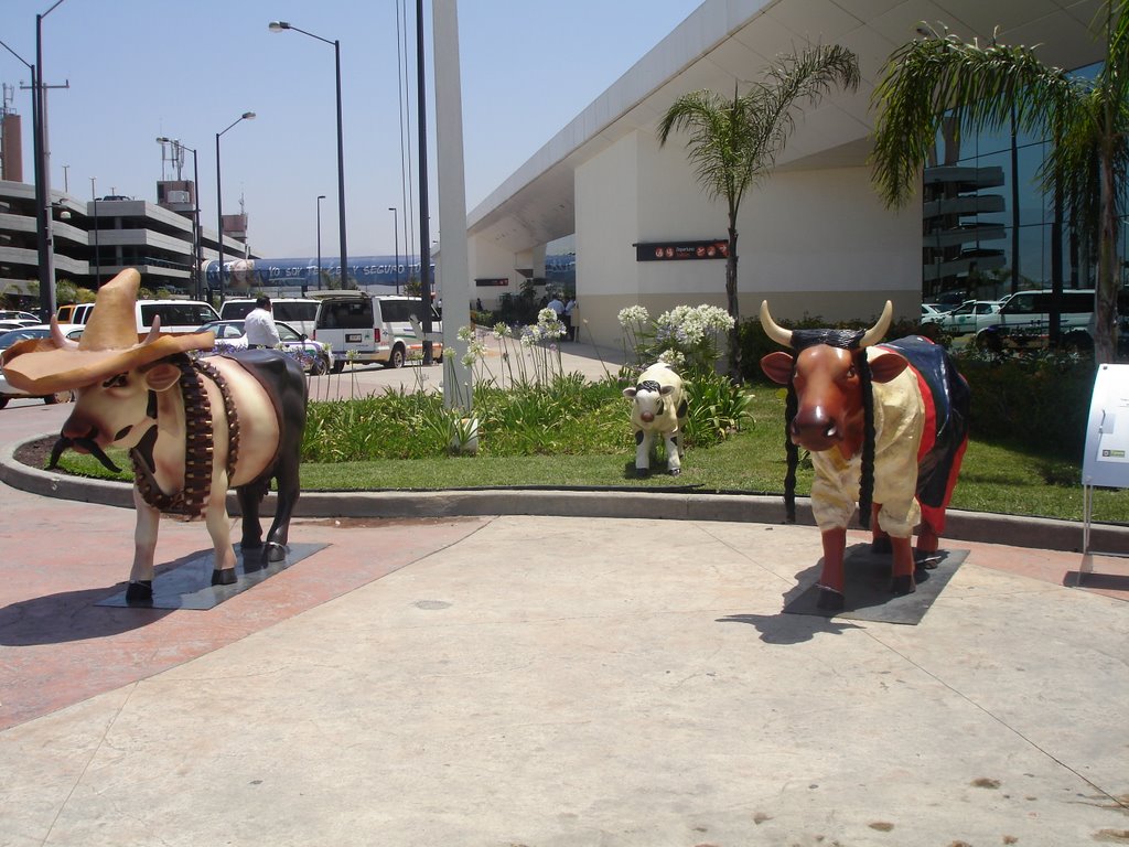 Aeropuerto Internacional De Tijuana (TIJ) - Aeropuertos.Net